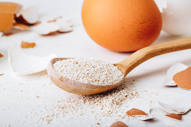 Egg Shell Powder