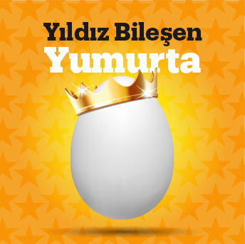 Yıldız bileşen yumurta