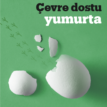 Çevre Dostu Yumurta